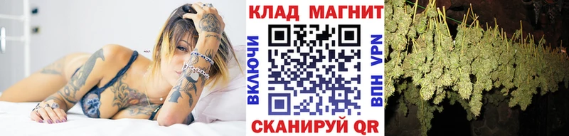 LSD-25 Пионерский