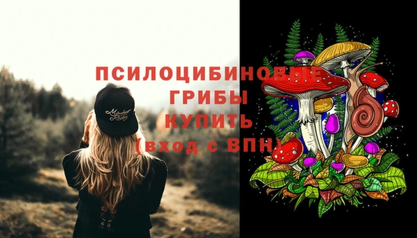 2c-b Навашино
